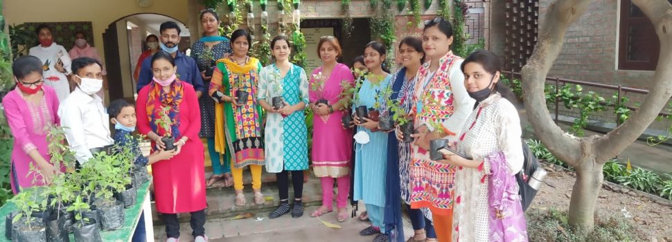 तुलसी का पौधा भेंट कर मनाया छात्रा का जन्मदिन