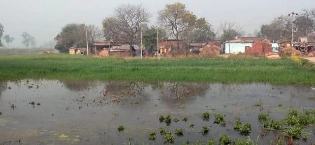 सोल्हवां गांव के पास नहर कटने से लगभग 15 बीघा गेहूं की फसल जलमग्न