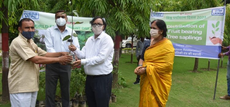एनटीपीसी टांडा द्वारा विश्व पर्यावरण दिवस पर चलाया गया वृहद वृक्षारोपण अभियान